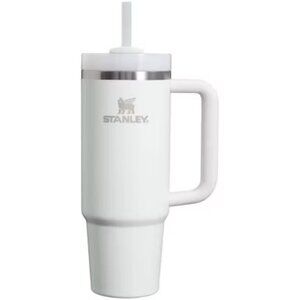 30 oz Stanley Tumbler Frost